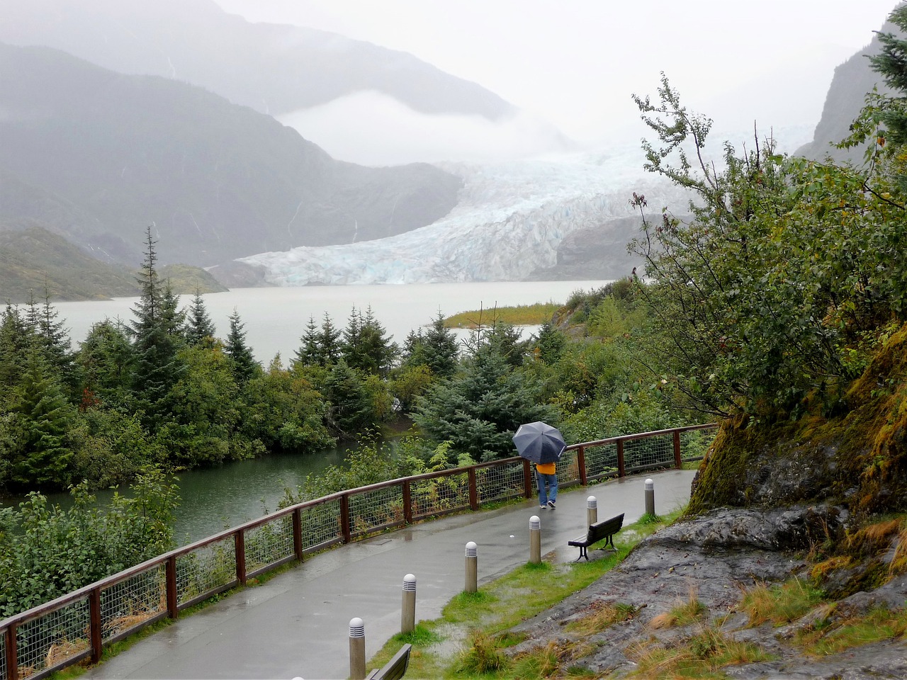 Tongass