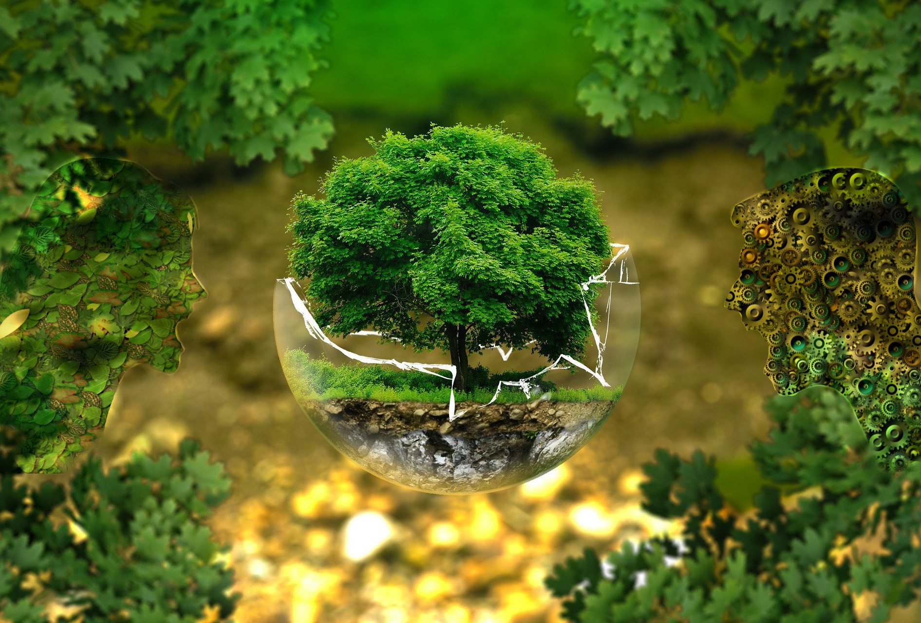 clima