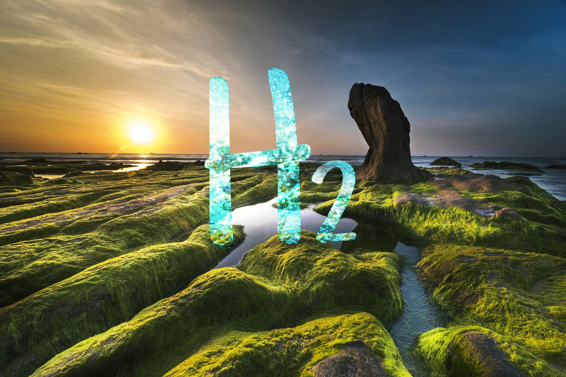 Alghe verdi_idrogeno_H2
