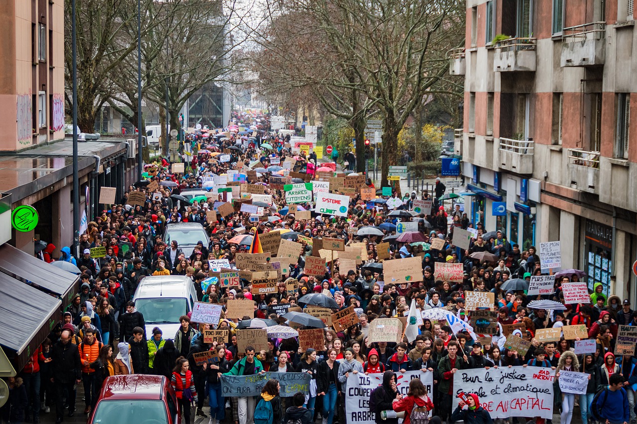 Manifestazione Francia