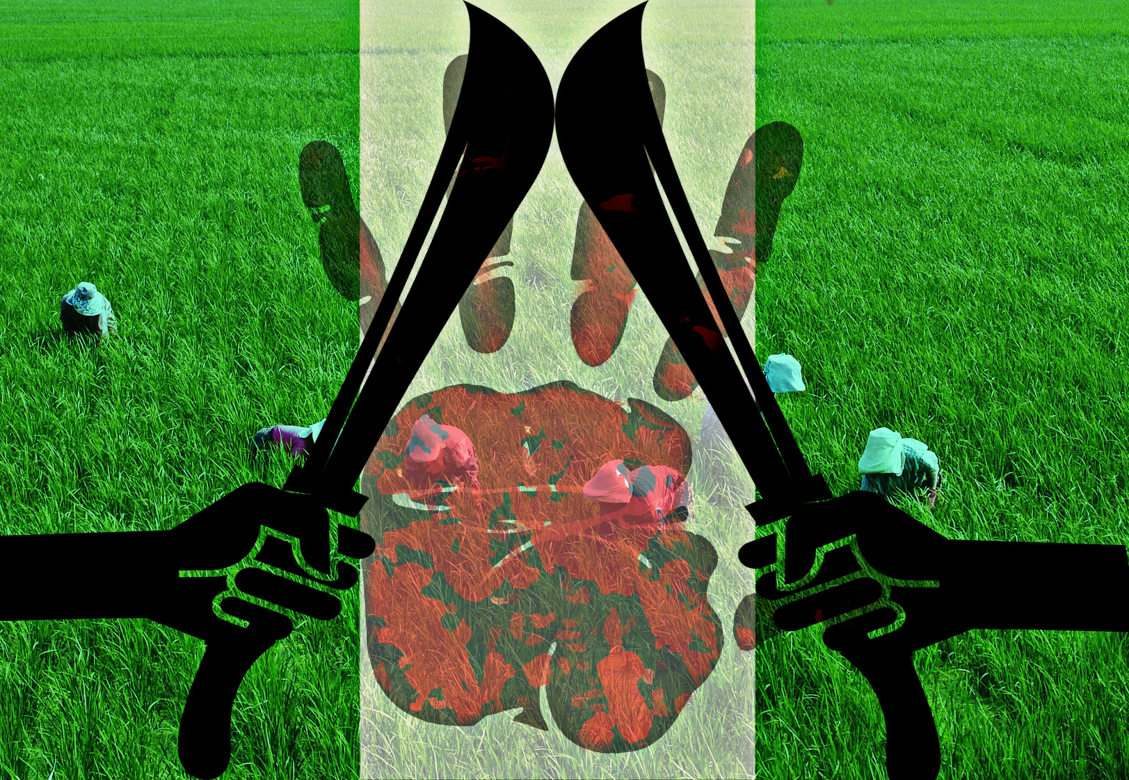 Risaia_attacco