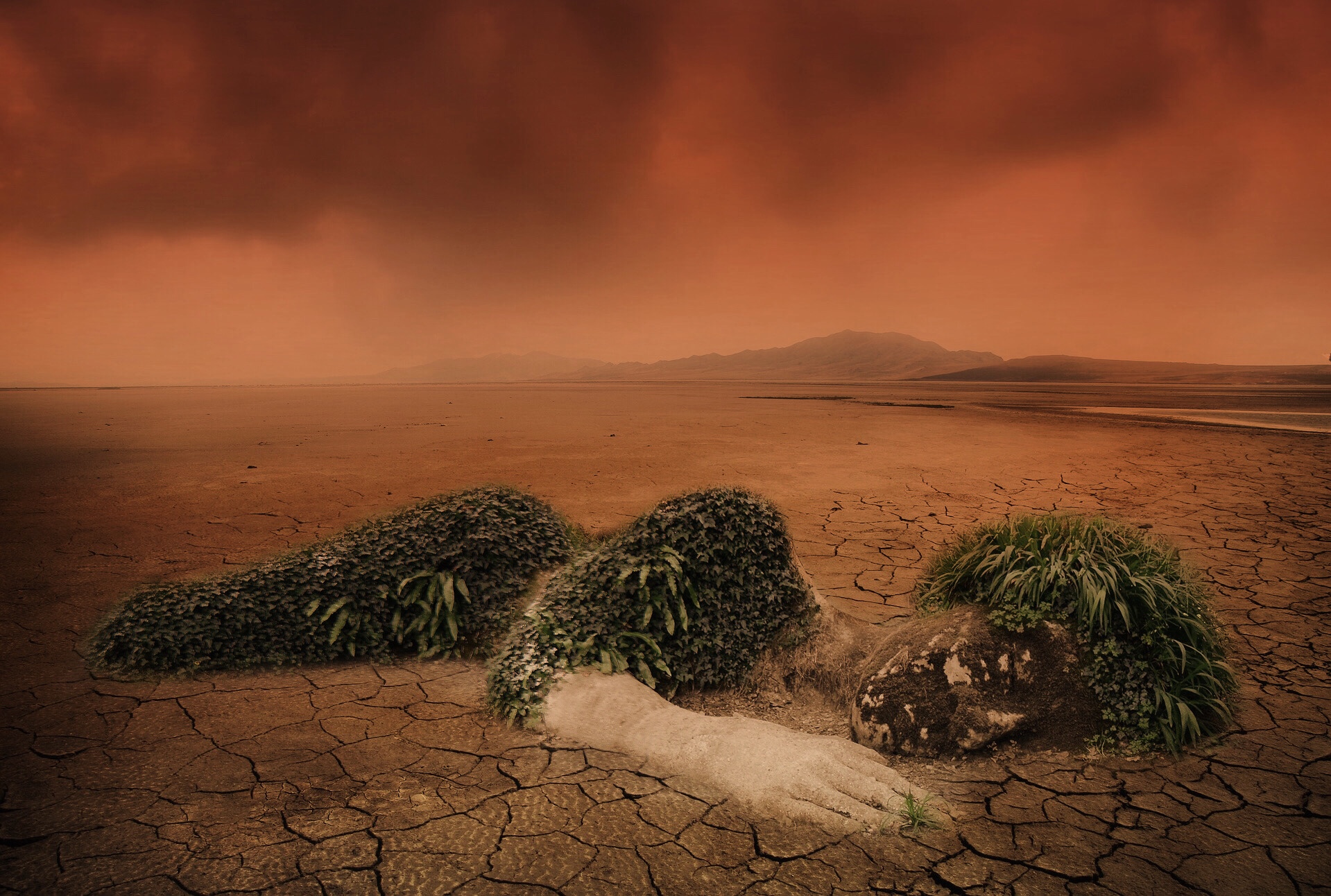 Climatic Change