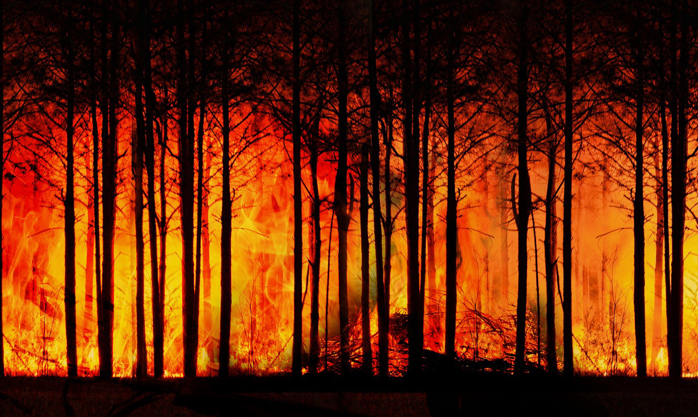 Incendio_Australia