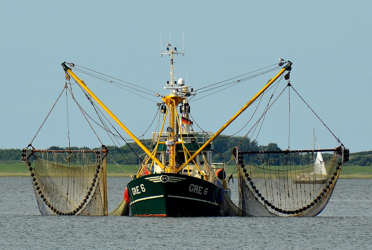 Nave da pesca