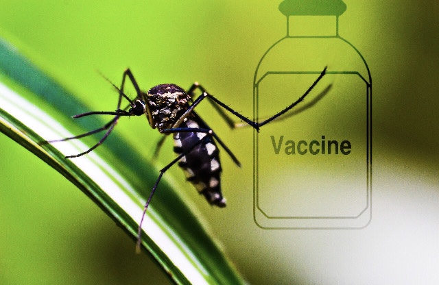 Vaccino_malaria