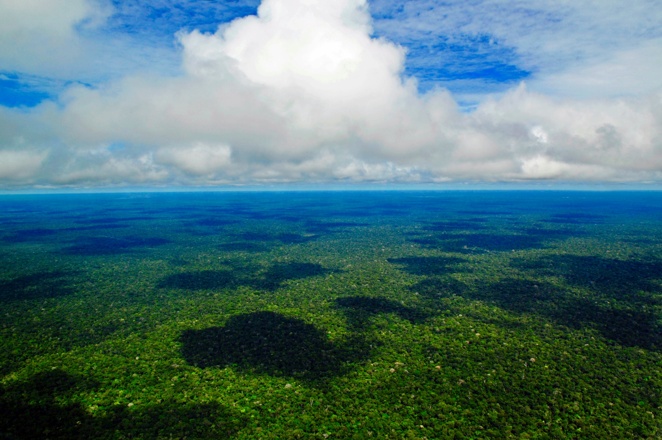 amazzonia