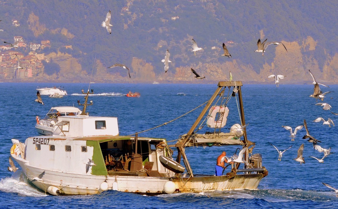 pesca