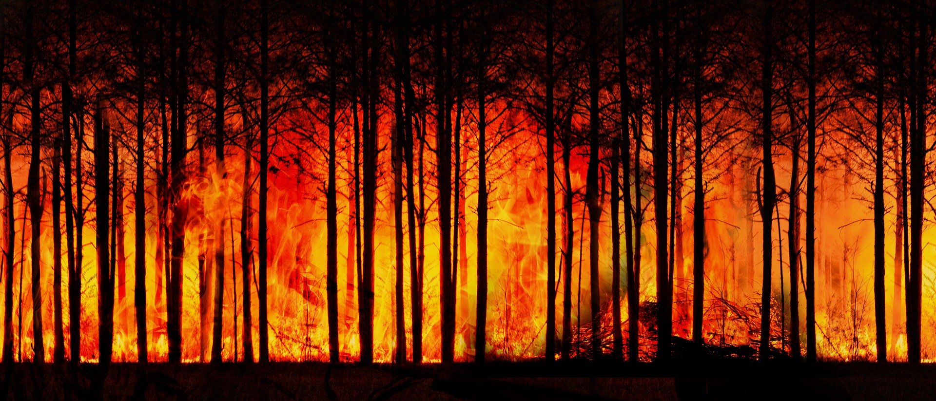Incendio