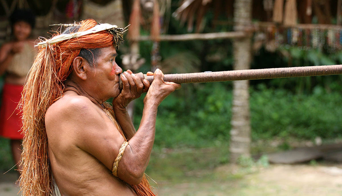 amazonian