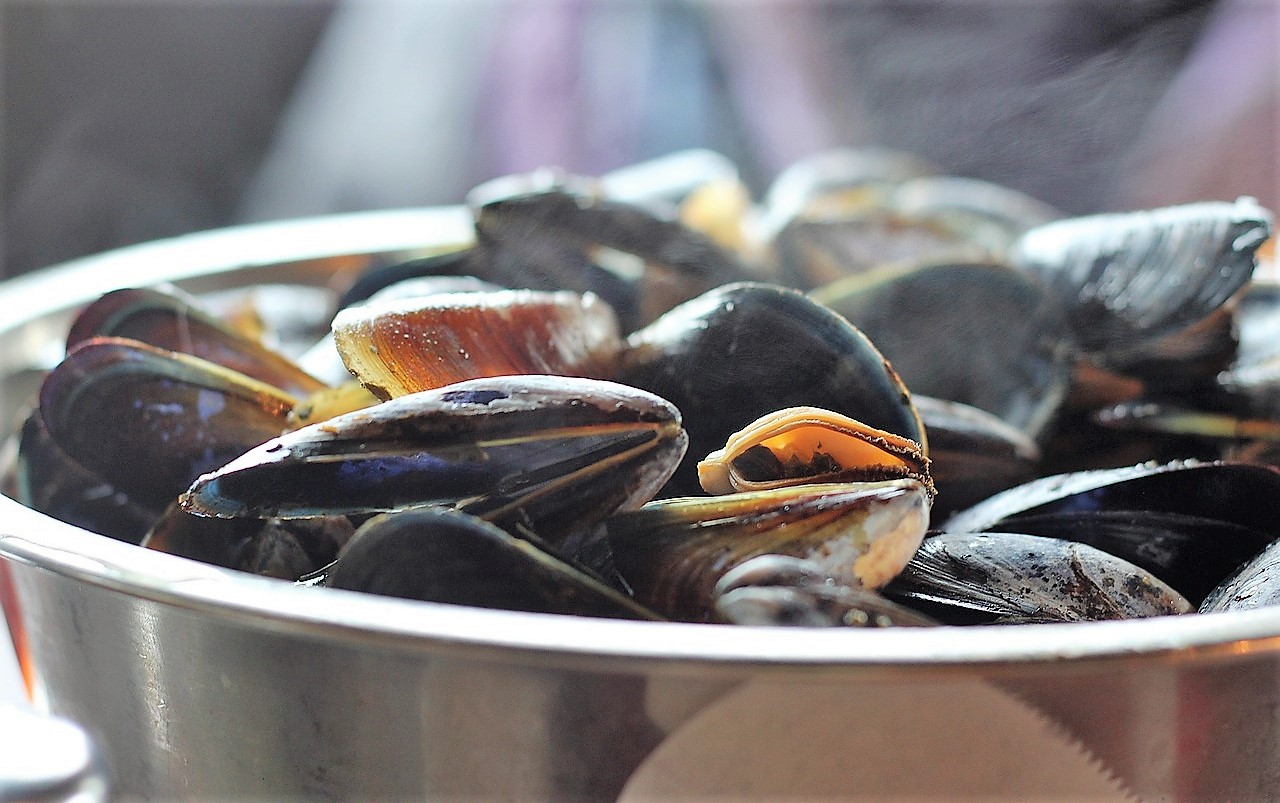 cozze