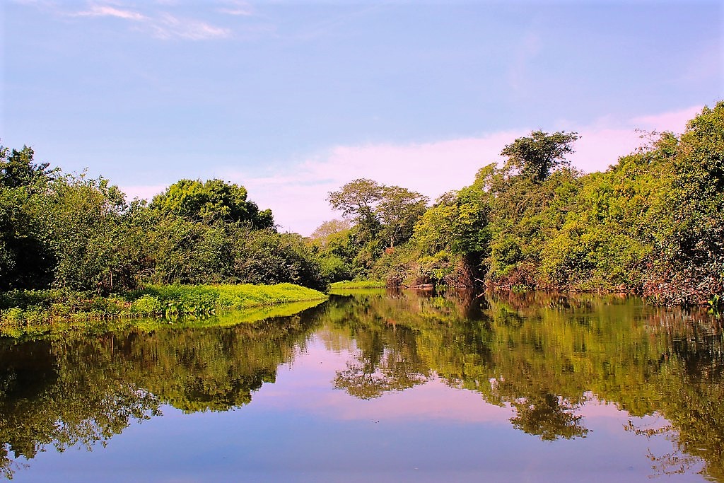 Pantanal_Brasile