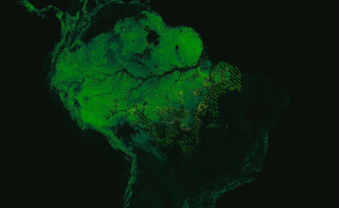 amazzonia