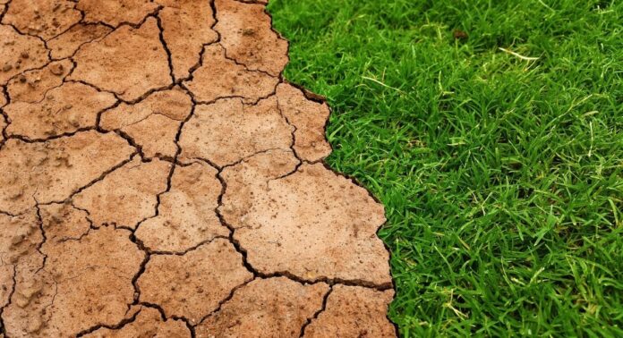 cambiamenti climatici.