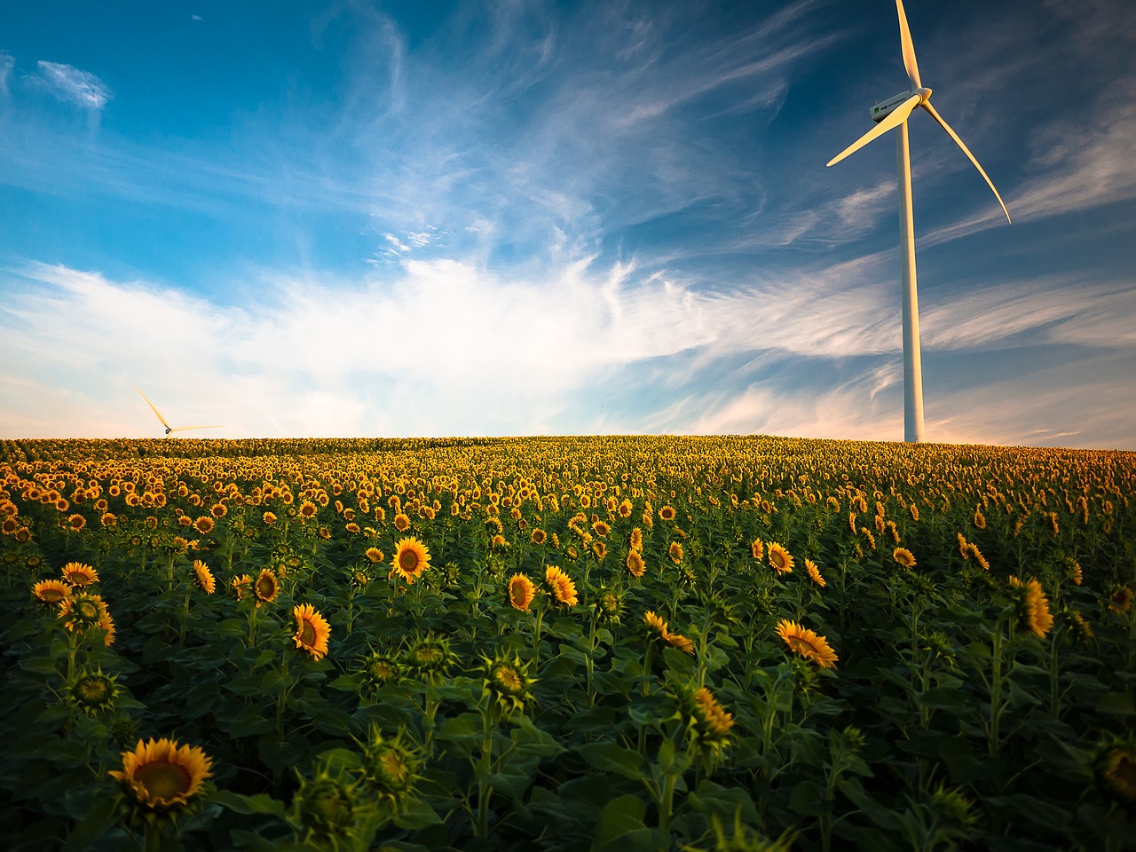 energie rinnovabili