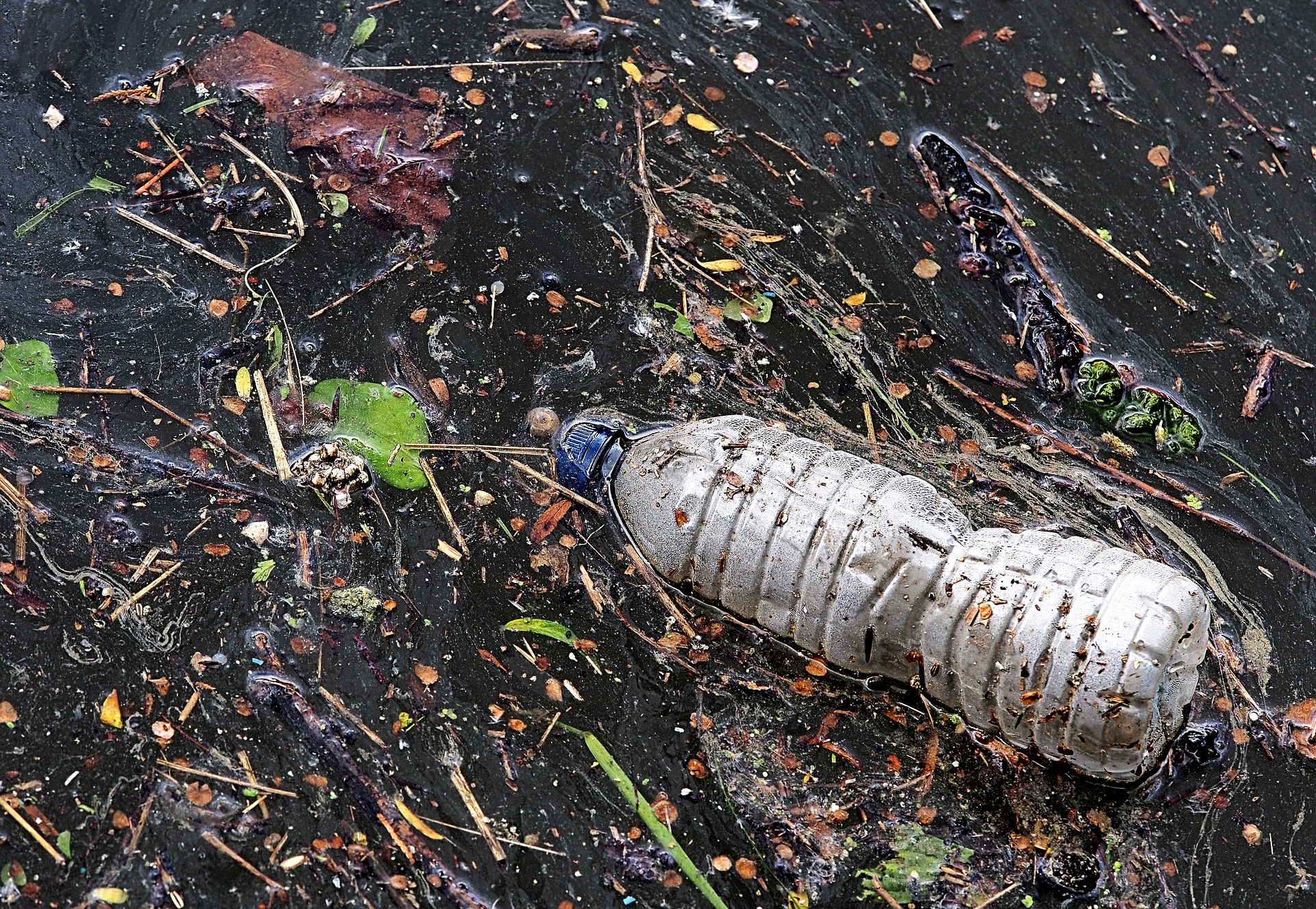 rifiuti plastici