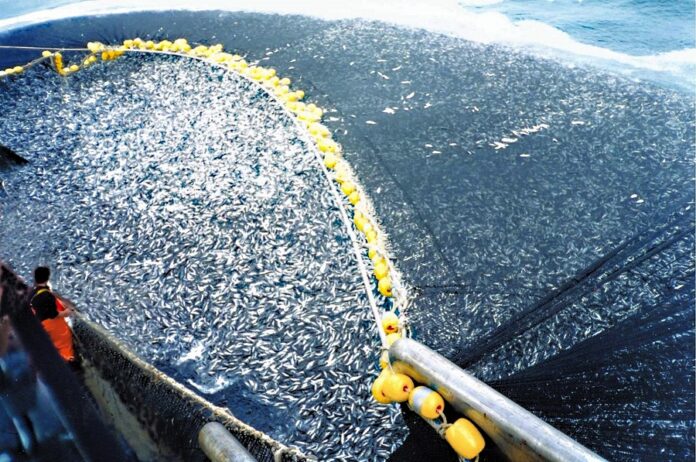 pesca a strascico
