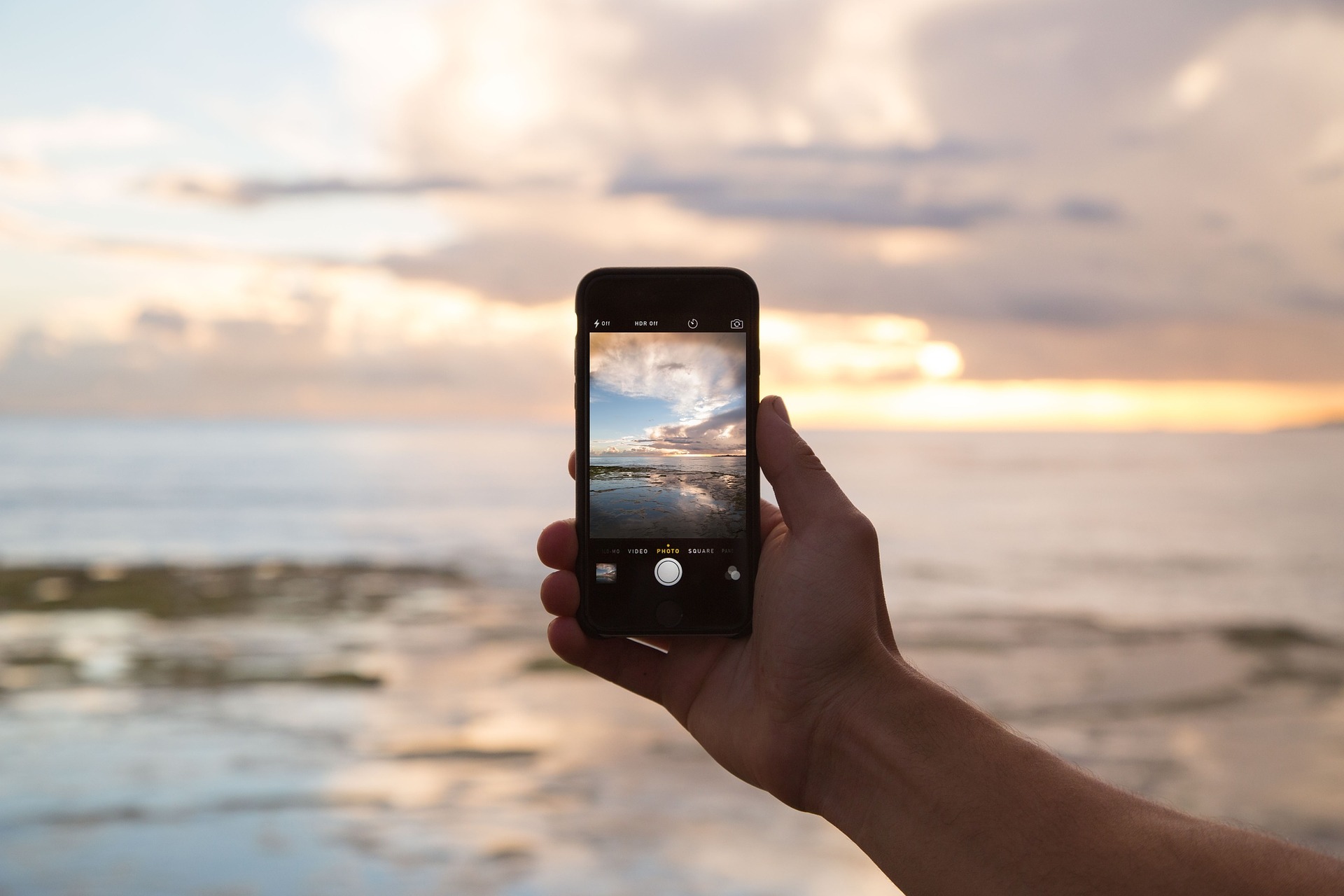 cellulare