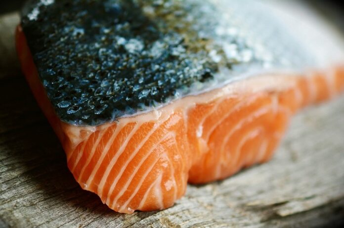 salmone
