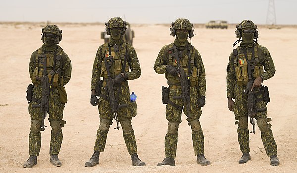 esercito guinea