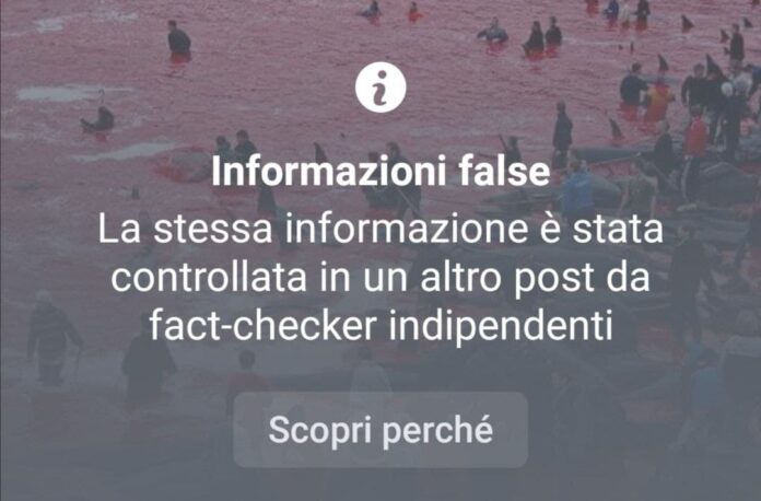 facebook informazioni false 2