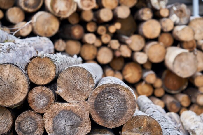 legno.