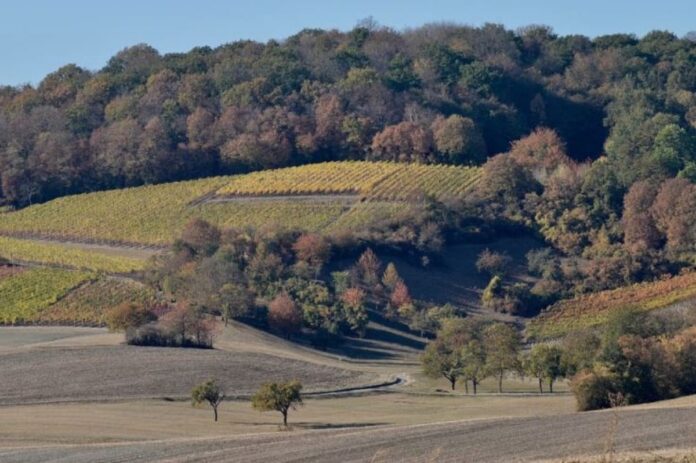 area agricola ad alto valore protetto