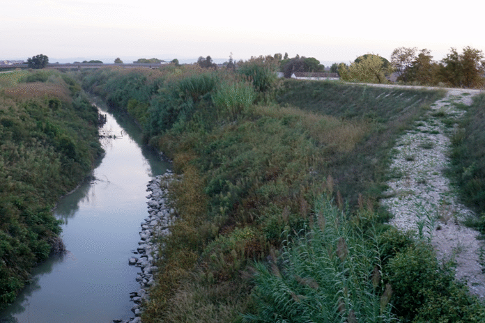 fiume Lamone
