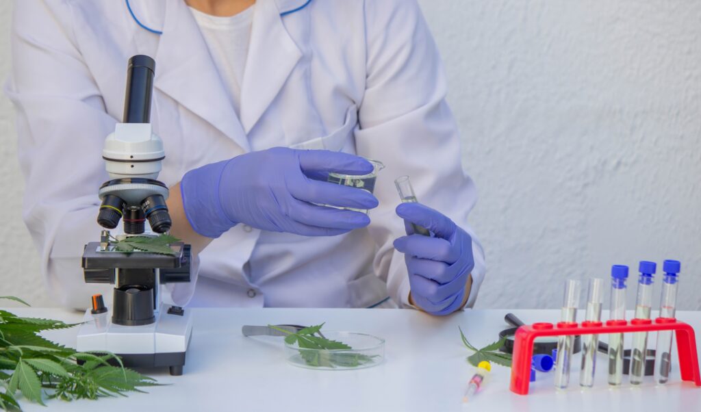 cannabis laboratorio