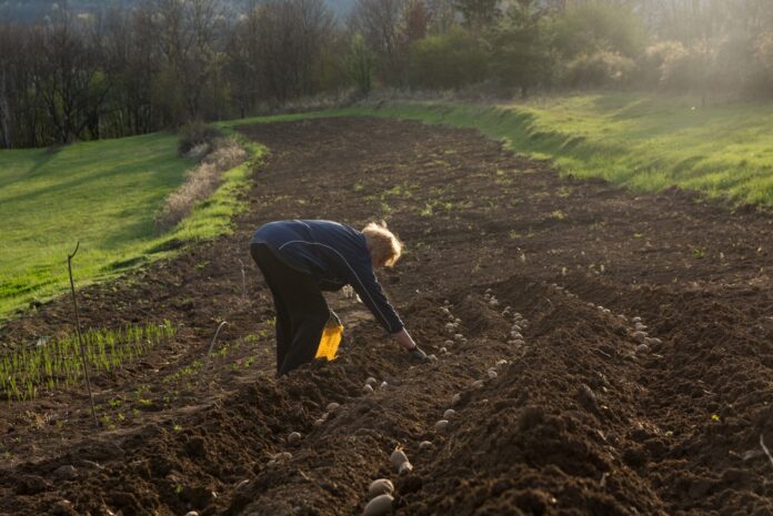 agricoltura