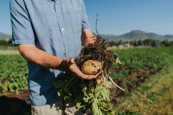 agricoltura biologica agricoltura biologica