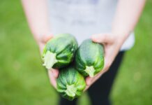 Caltanissetta è la prima città italiana a sostenere una dieta più vegetale contro la crisi climatica verdura