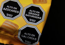 Bollini neri e scuole senza cibo spazzatura: in Cile cala l’obesità dei bambini obesità infantile Cile
