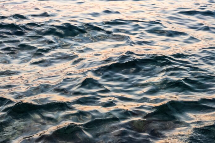 Mare