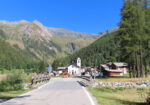 valle Soana ripopolamento